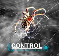 Spider Control Melbourne image 2